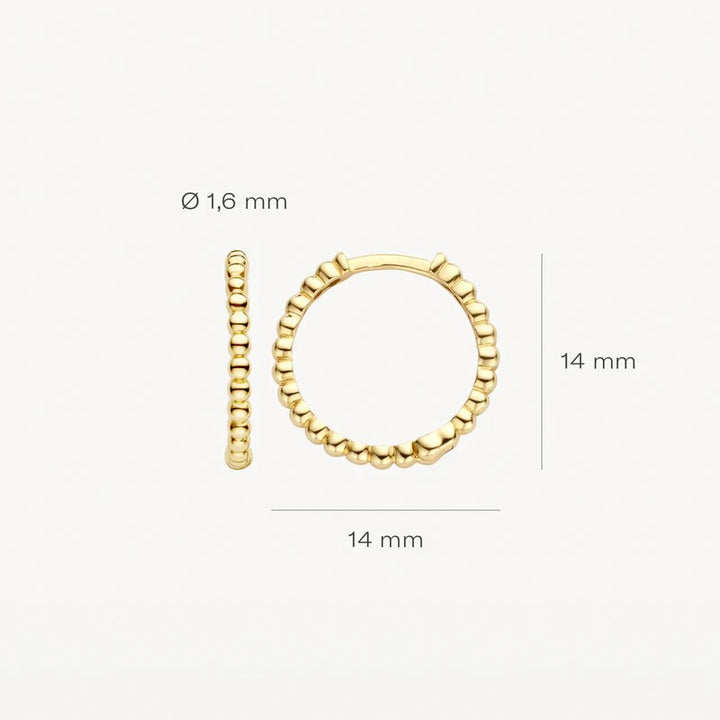 Blush Jewels oorringen 7290YGO - 14k Geelgoud