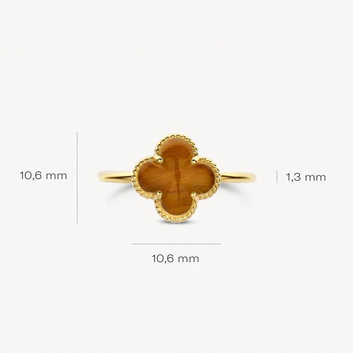 Blush Ring 14 kt Blush ring met Tijgeroog en Bergkristal – 1269YTQ