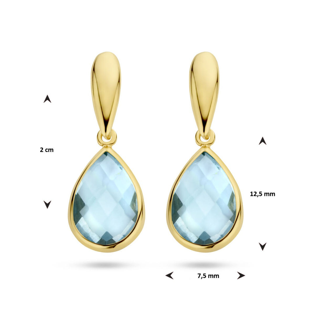 Xavi Huyscollectie 40.25539