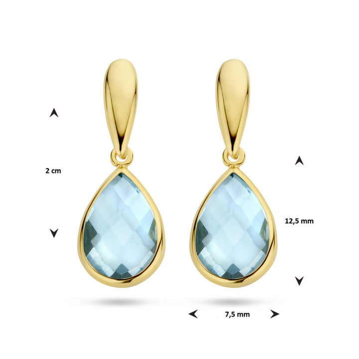 Xavi Huyscollectie 40.25539