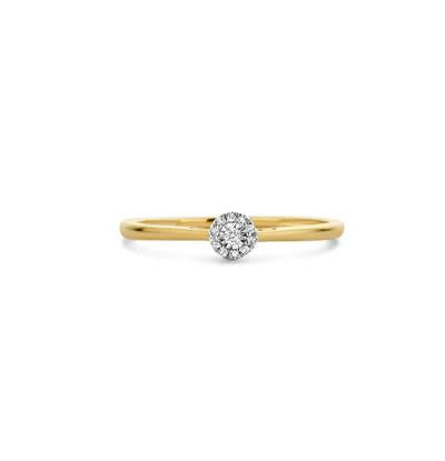 Ring 1646BDI - 14k Geel en Wit Goud met Diamant