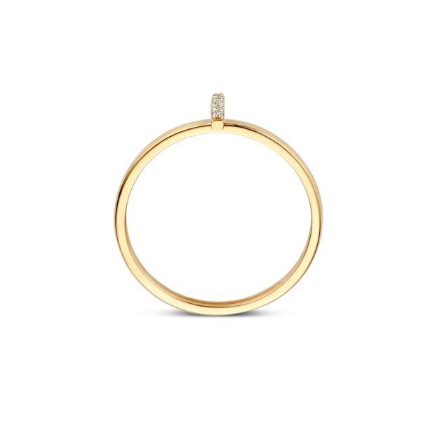Blush Ring 14 Karaats Geelgoud met Zirkonia - 1252