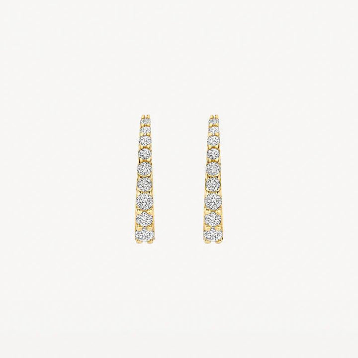 blush jewels 14k Oorringen 7341YZI met Zirkonia