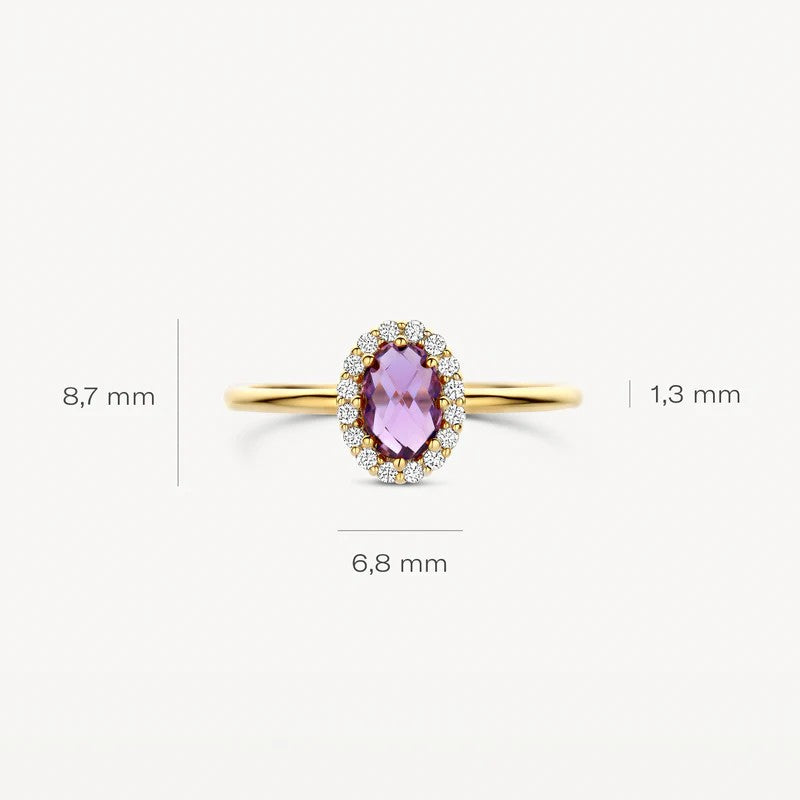 Blush Ring 14 kt Geelgoud met Amethist en Zirkonia – 1271YAM