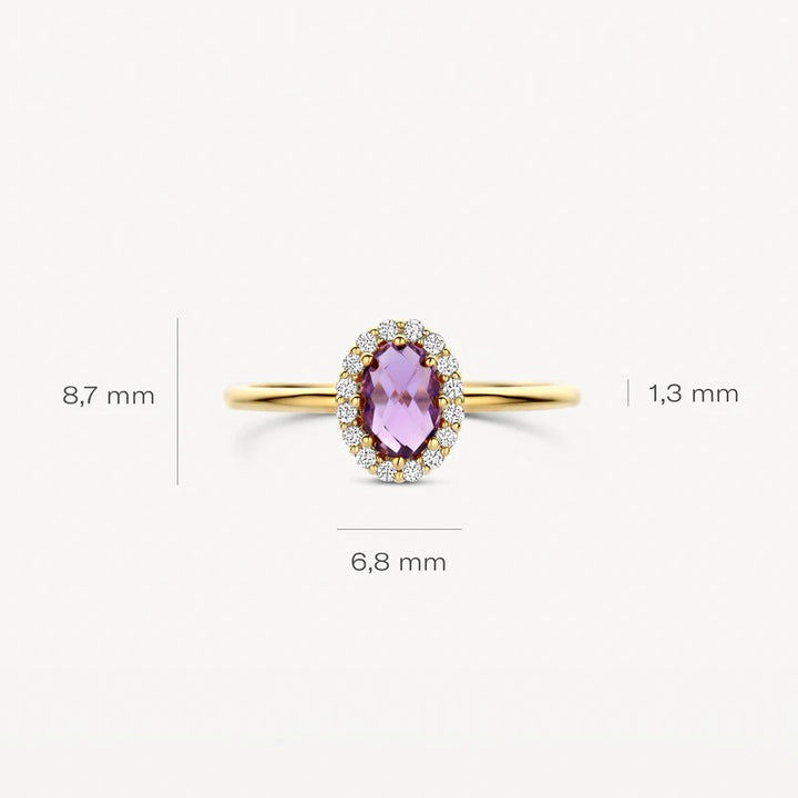 Blush Ring 14 kt Geelgoud met Amethist en Zirkonia – 1271YAM
