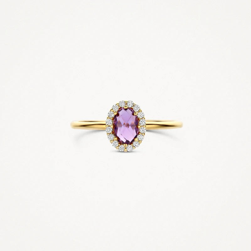 Blush Ring 14 kt Geelgoud met Amethist en Zirkonia – 1271YAM