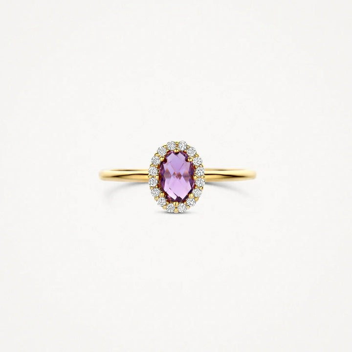Blush Ring 14 kt Geelgoud met Amethist en Zirkonia – 1271YAM