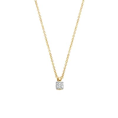 Collier 3610YDI - 14k Wit en Geelgoud