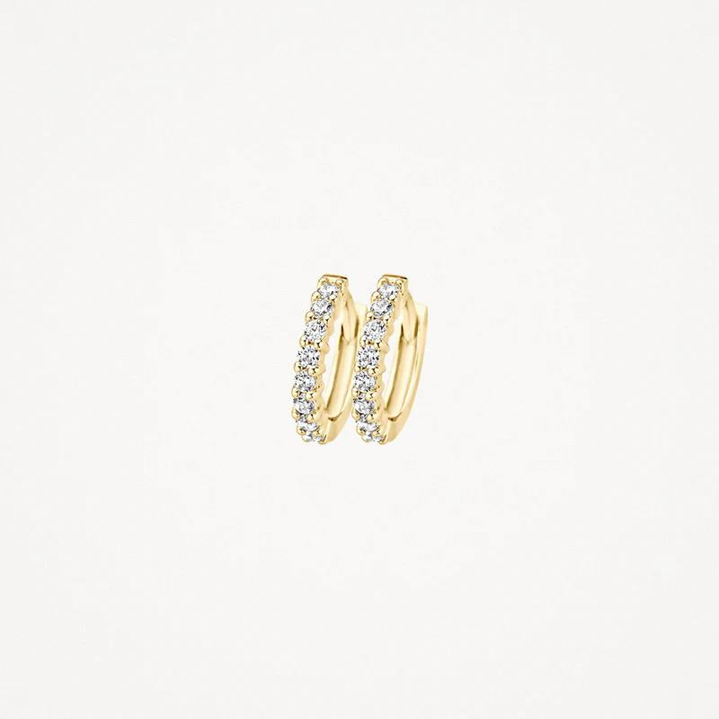 14k Geelgoud met zirkonia Oorringen 7134YZI