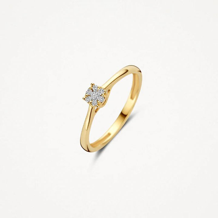 Geelgouden entourage ring met diamant 1665YDI/54