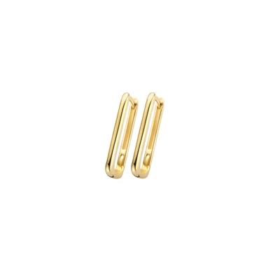 Blush Jewels oorringen 7295YGO - 14k Geelgoud