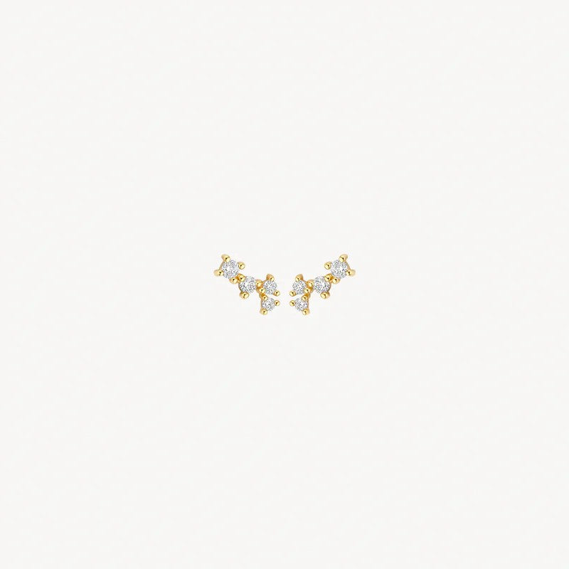 Blush Oorstekers 14 kt Geelgoud met Zirkonia – 7373YZI