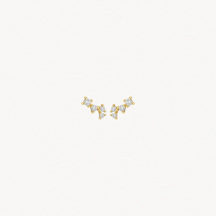 Blush Oorstekers 14 kt Geelgoud met Zirkonia – 7373YZI