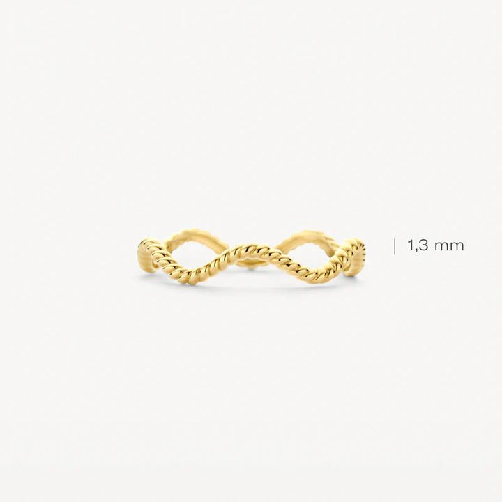 Blush Jewels 14k Geelgouden ring 1263YGO maat 54