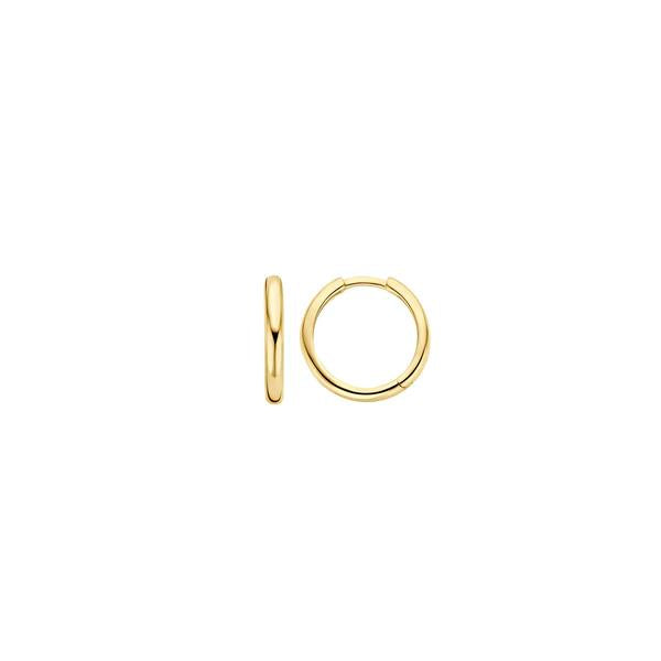 Blush Jewels oorringen 7271YGO - 14k Geelgoud