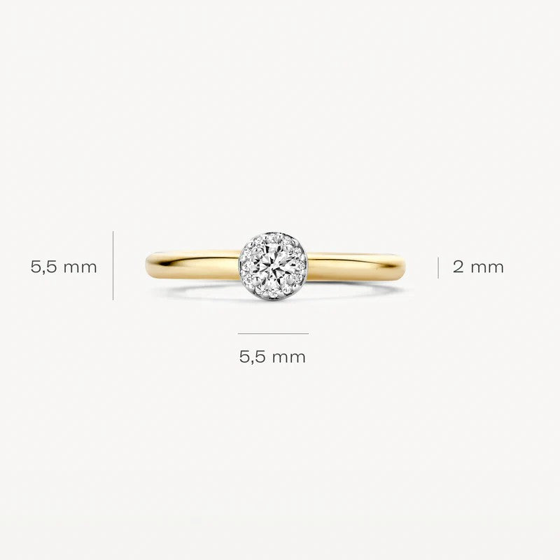 Blush Jewels ring 1131BZI - 14k Geelgoud met Zirkonia maat 54