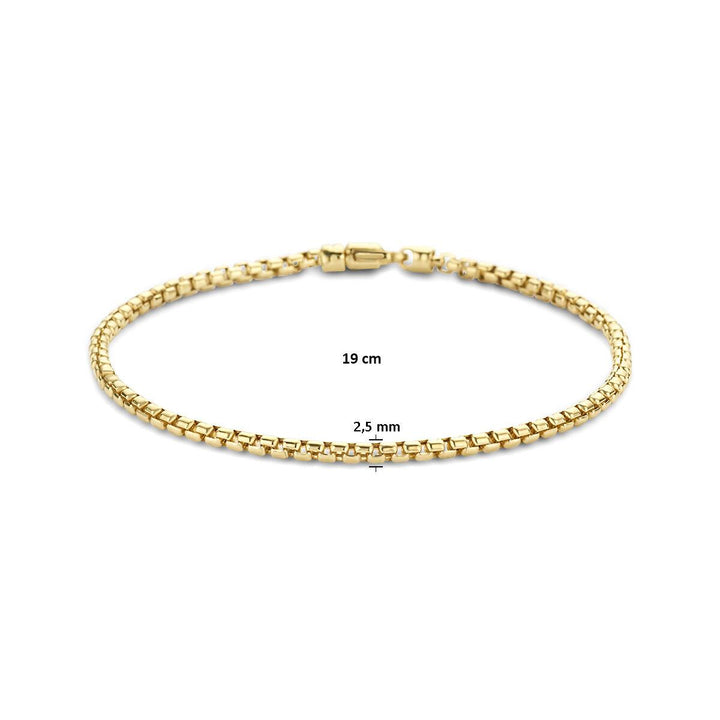 14 Karaat Geelgouden Venetiaanse Armband – 2,5 mm – 19 cm