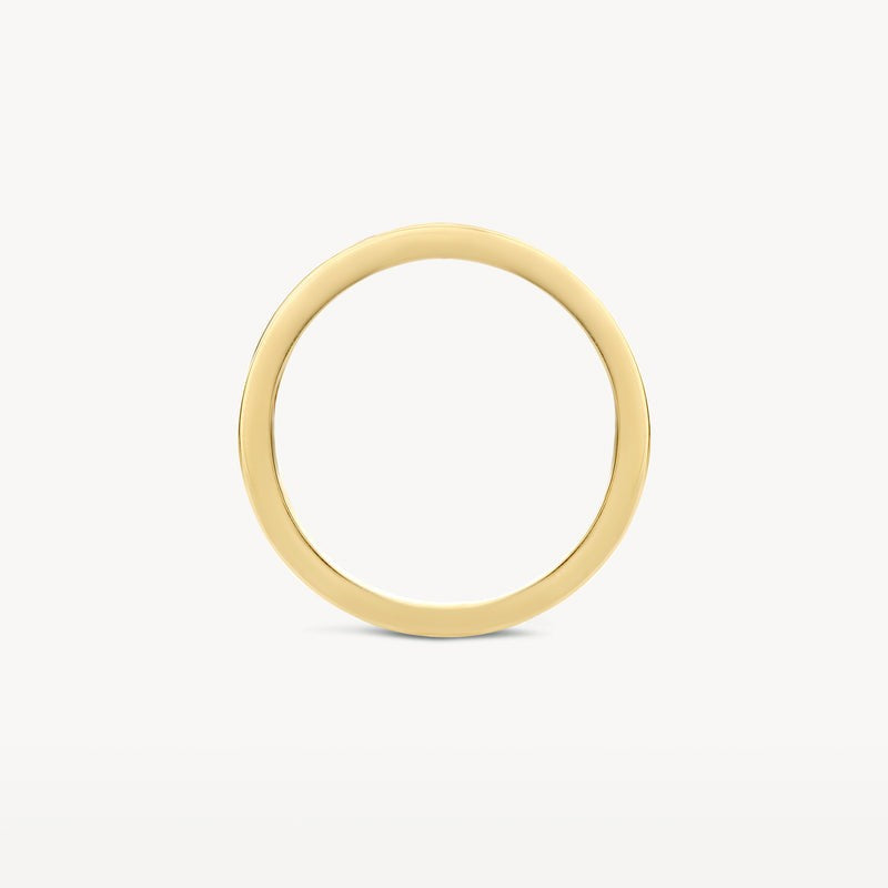 Blush bicolor ring van 14 karaat goud met diamant 1630BDI