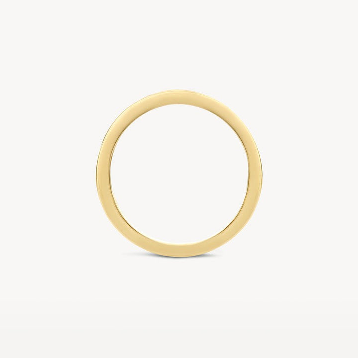 Blush bicolor ring van 14 karaat goud met diamant 1630BDI