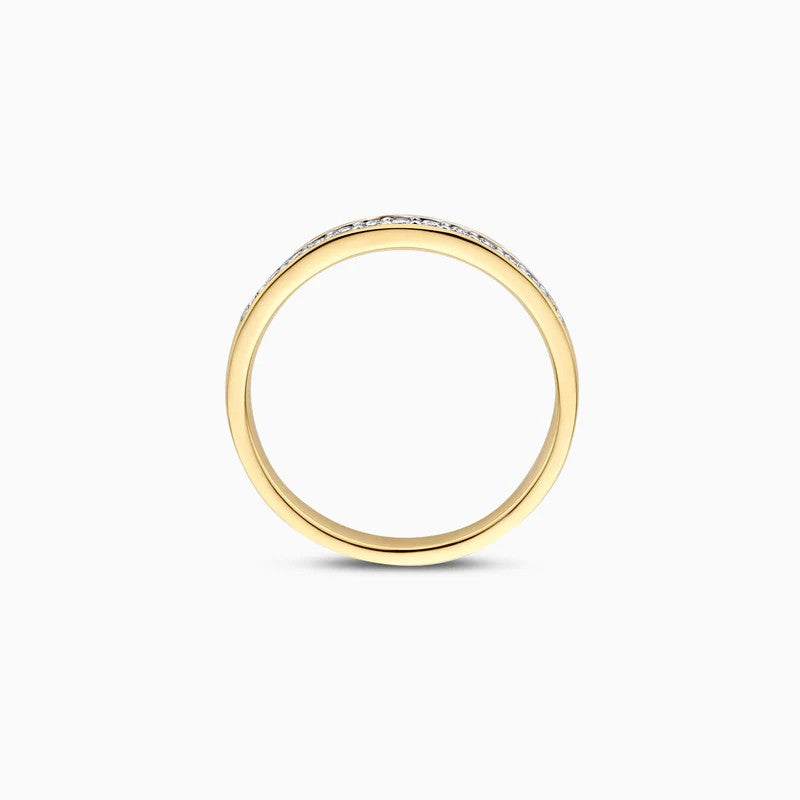 14 Karaat Geelgouden Ring met Lab Grown Diamanten 0.22 ct