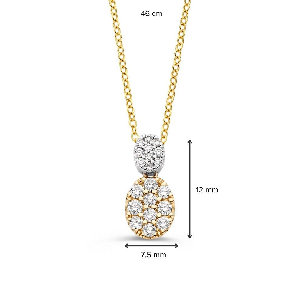 14 kt Bicolor Collier met Diamant 0,53 crt – CG417