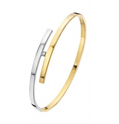 Fjory 14 Karaats Bi-Color Gouden Bangle armband 3 mm met 0.05ct Diamant - 41-A376103-005