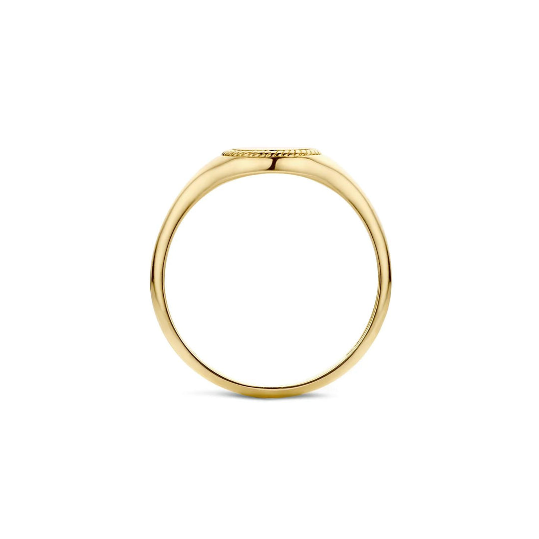 Zegelring 1205YGO - 14k Geelgoud 1205YGO/54