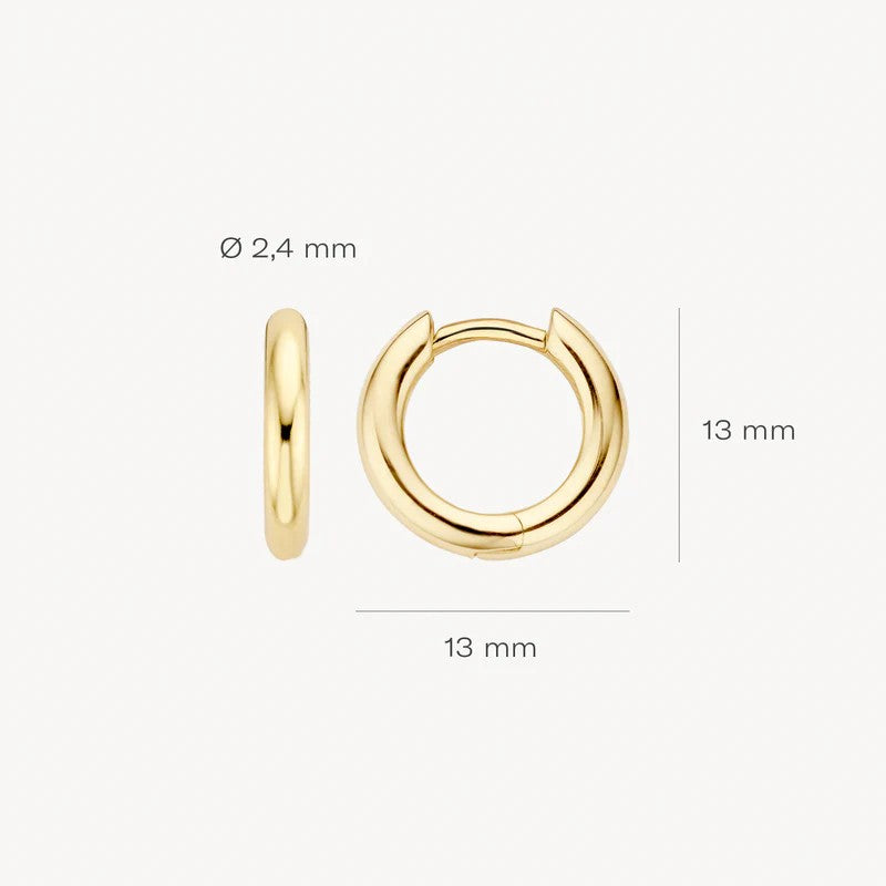 Oorringen 7165YGO - 14k Geelgoud