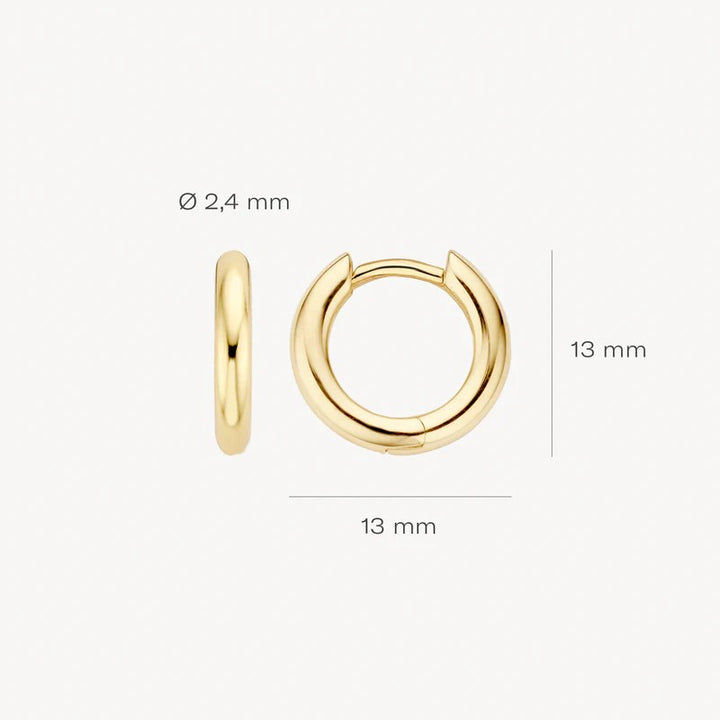 Oorringen 7165YGO - 14k Geelgoud