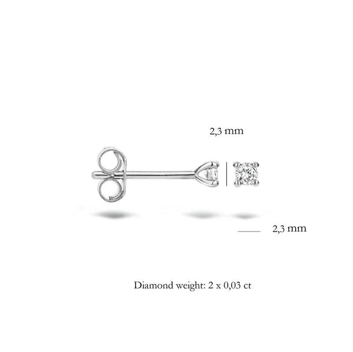 Oorknoppen 7600WDI - 14k Wit goud met Diamant