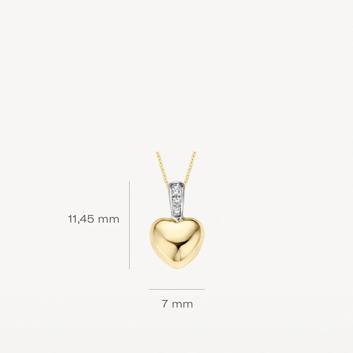 Blush Jewels hanger 6077BZI - 14k Geel en witgoud met zirkonia