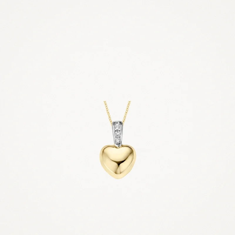 Blush Jewels hanger 6077BZI - 14k Geel en witgoud met zirkonia
