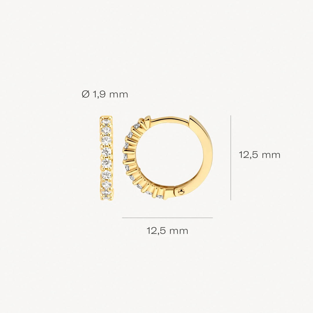 14k Oorringen 7166YZI Geelgoud met zirkonia