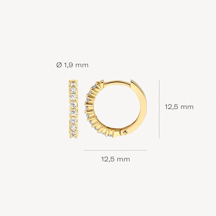 14k Oorringen 7166YZI Geelgoud met zirkonia