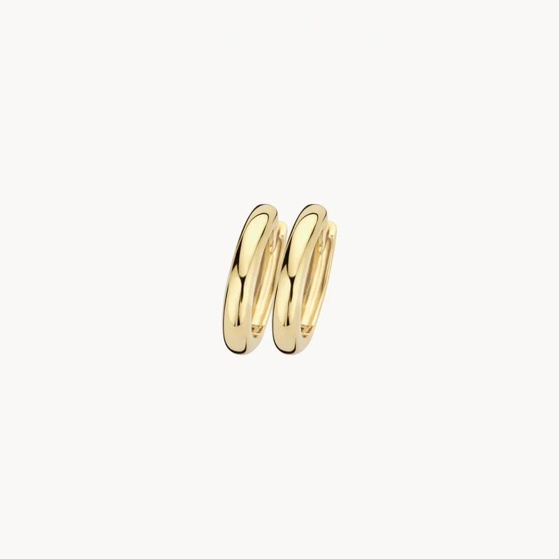 Blush Jewels 14 kt oorringen 7203YGO
