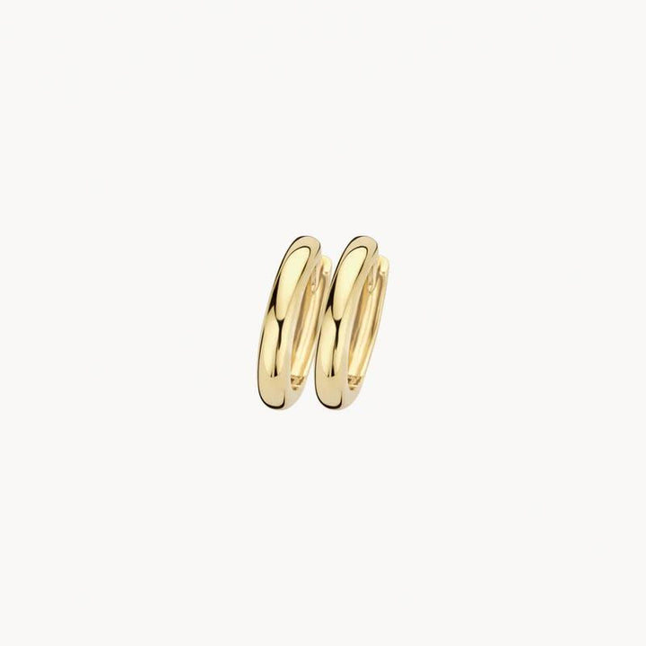 Blush Jewels 14 kt oorringen 7203YGO