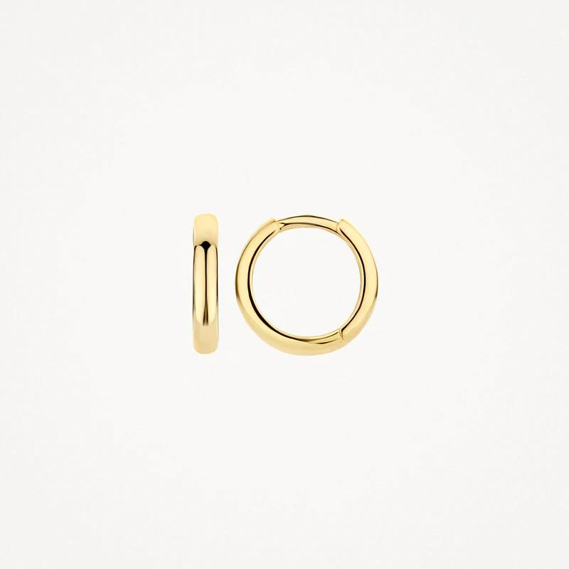 Blush Jewels 14 kt oorringen 7203YGO