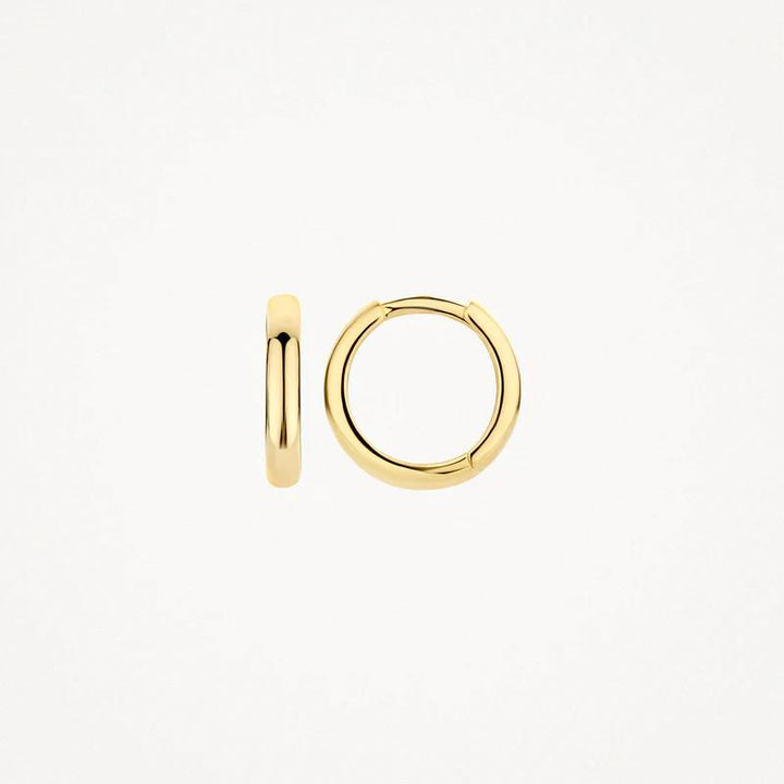 Blush Jewels 14 kt oorringen 7203YGO
