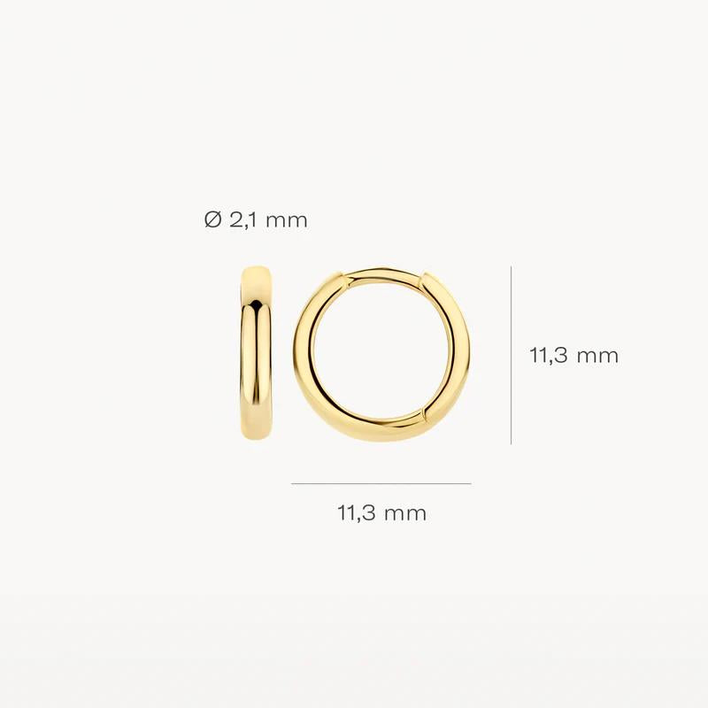 Blush Jewels 14 kt oorringen 7203YGO