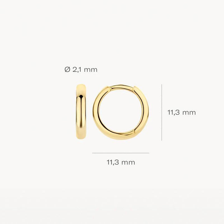 Blush Jewels 14 kt oorringen 7203YGO