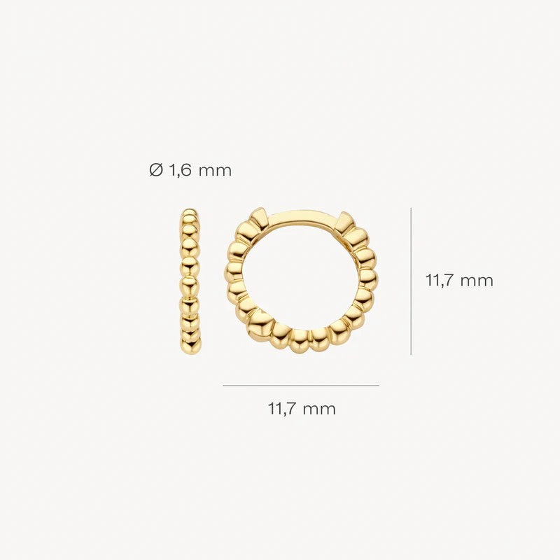 Blush Jewels Oorringen 7264YGO - 14k Geelgoud
