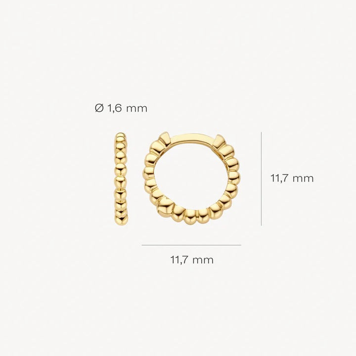 Blush Jewels Oorringen 7264YGO - 14k Geelgoud