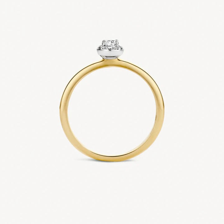 Blush Jewels ring 1131BZI - 14k Geelgoud met Zirkonia maat 54