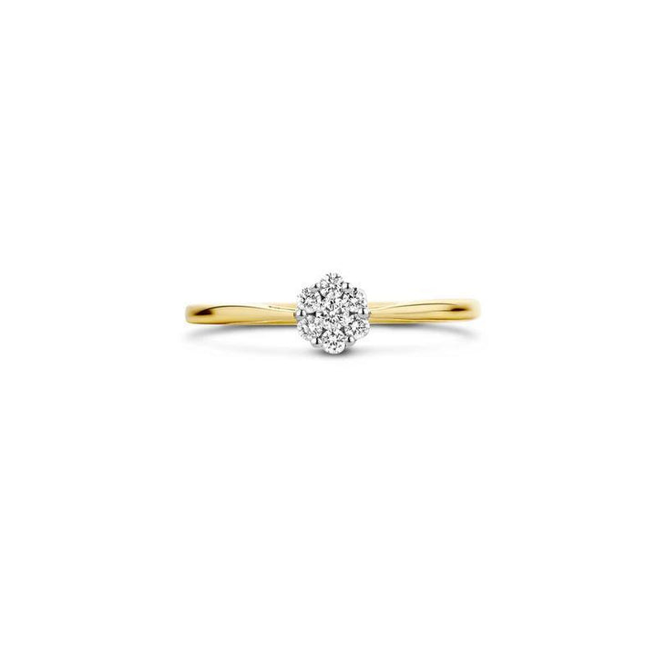 Ring 1611BDI - 14k GeelGoud met Diamant