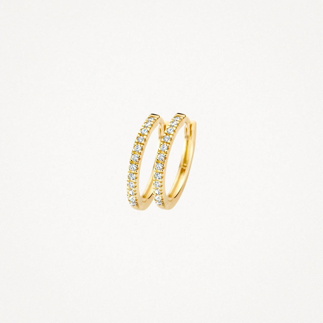 14 k Blush Jewels oorringen zirkonia 7309YZI