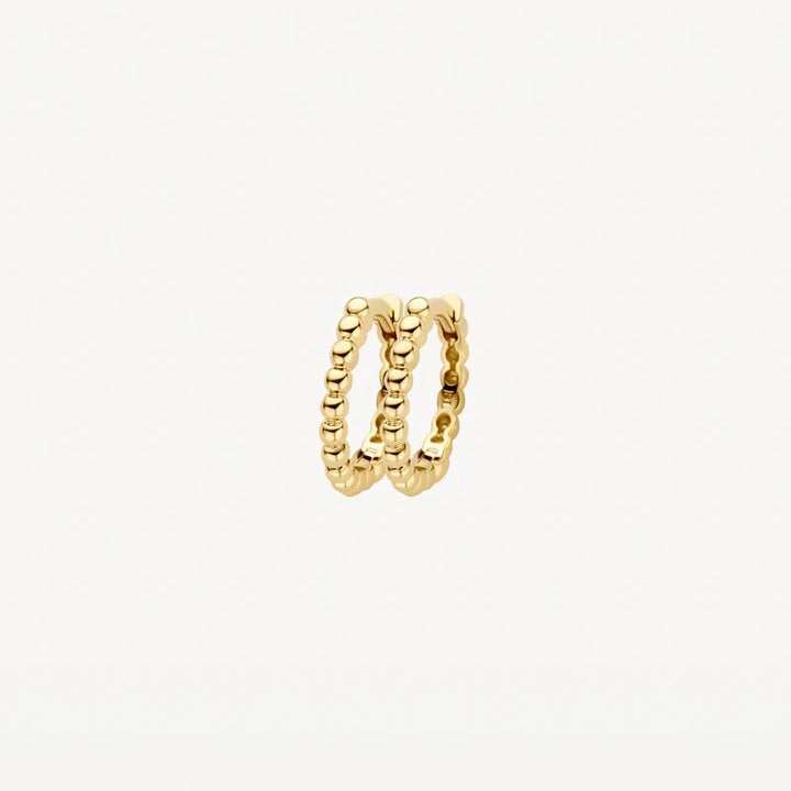 Blush Jewels Oorringen 7264YGO - 14k Geelgoud