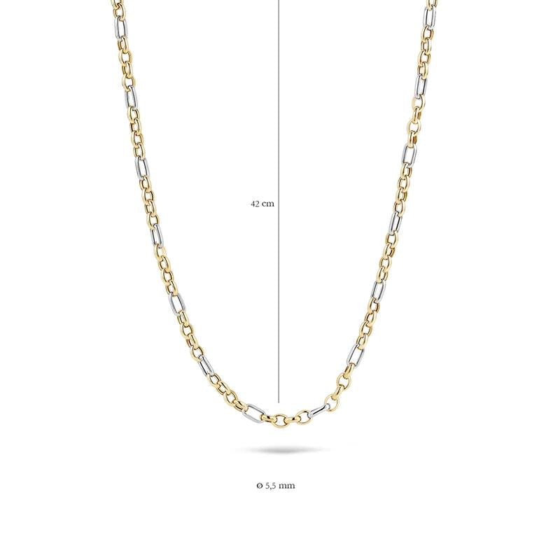 Collier 3100BGO - 14k Geel en Witgoud