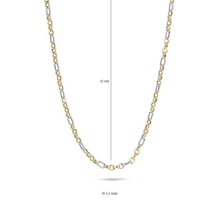 Collier 3100BGO - 14k Geel en Witgoud