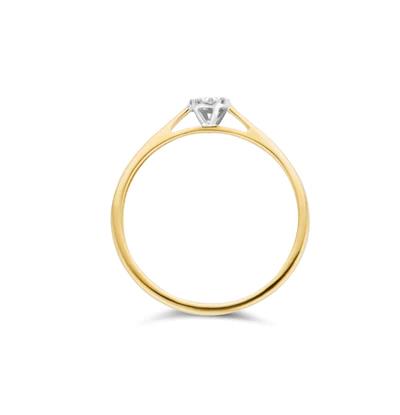 Ring 1646BDI - 14k Geel en Wit Goud met Diamant