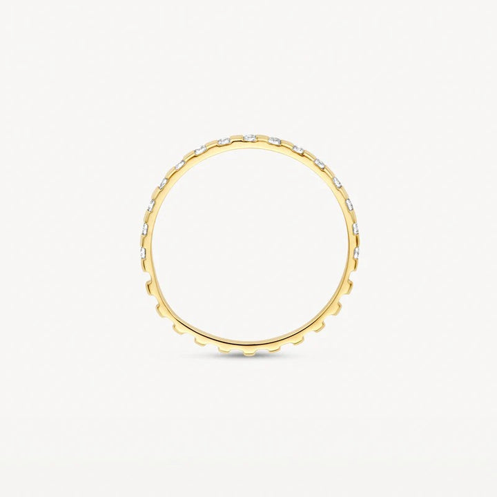 Blush 14 Karaat Geelgouden Ring met Fantasiezetting en Zirkonia 1268YZI